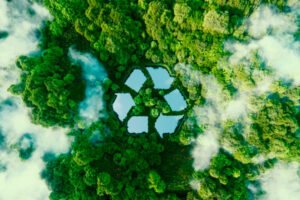 Leia mais sobre o artigo Entenda o papel da responsabilidade ambiental na terceirização